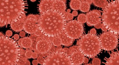 flu-virus-structure_G1UjIOLd-1140×570