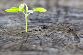 72-quotes-about-hope-optimism