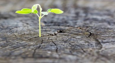 72-quotes-about-hope-optimism