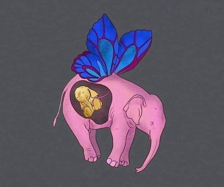فيلة .. ولو ماتت!