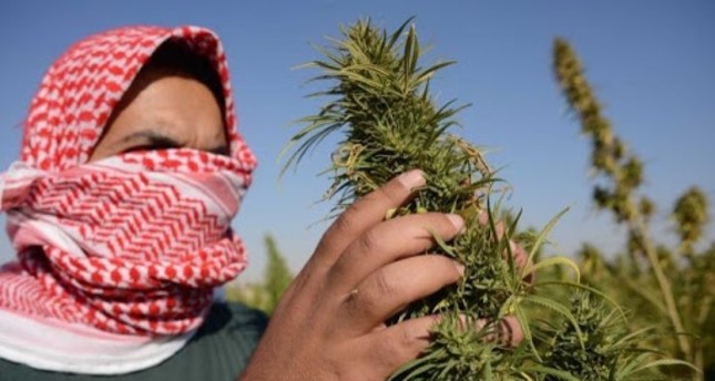 يلي بيزرع هوا … بكرا بيحصد ريح