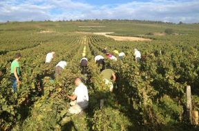 Lebanon-Agriculture-n