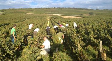Lebanon-Agriculture-n