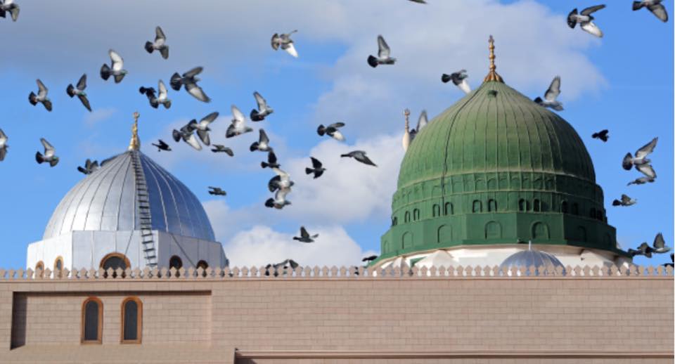 عن الرسول .. بعيدا عن ضجيج الاساءة