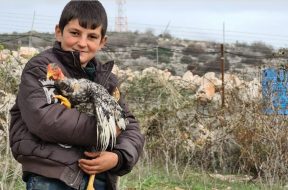 5f339630-33a9-43b1-8947-03a46b49a5b8