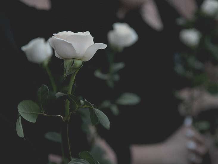 حين نستسلم أمام خسارة الملائكة “الى خالتي رندا”