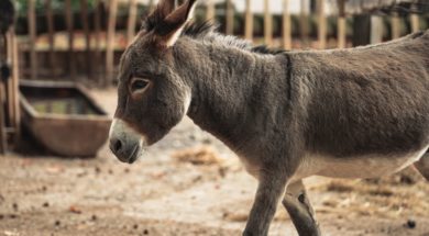 omar-ram-b1vCFneOP8w-unsplash-scaled