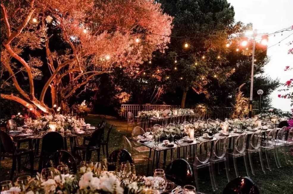 عرسك ……… هز الدنيي