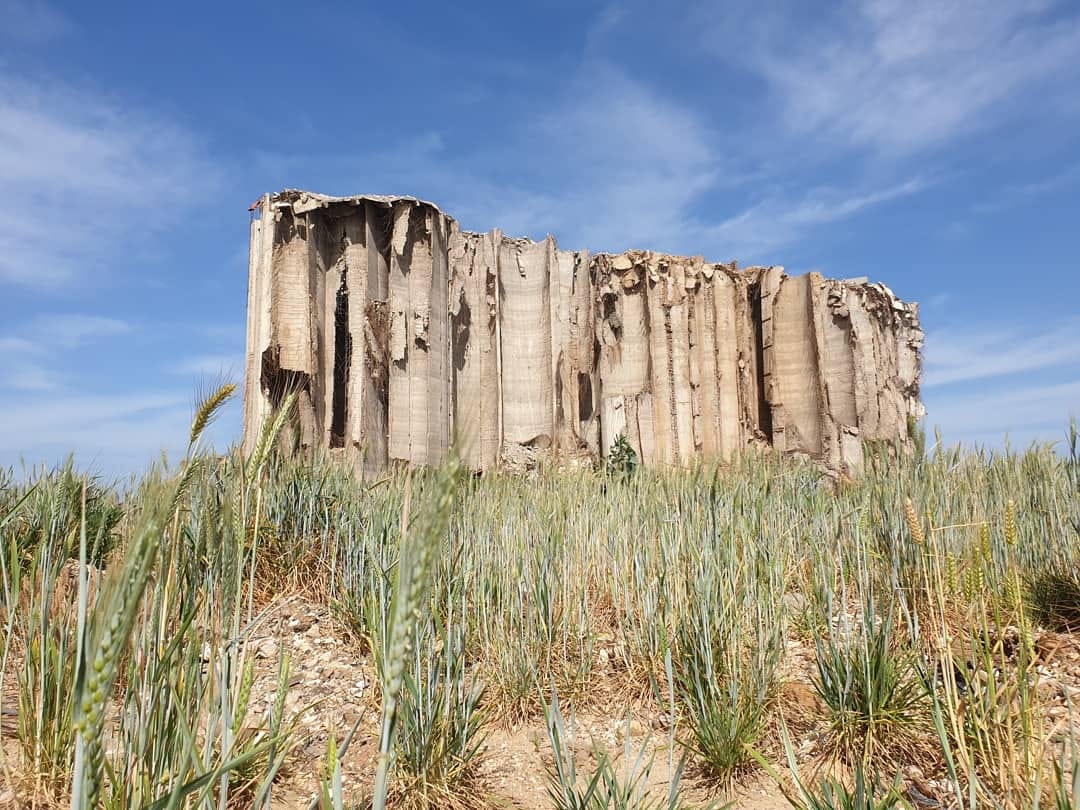 ستبقى بيروت…. سنابل فجرٍ وأمل