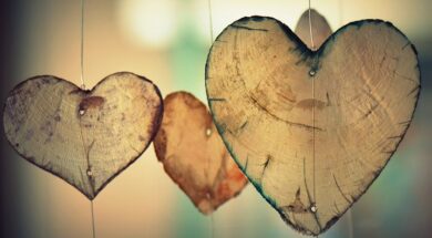 heart-700141__480