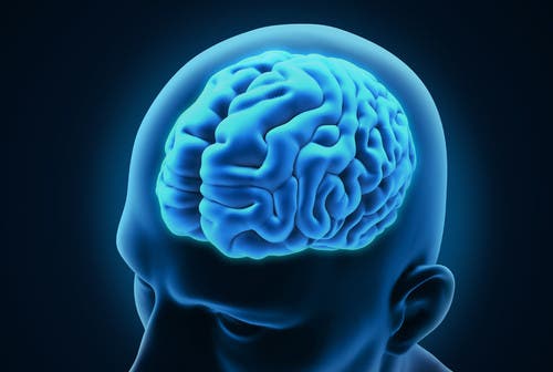 القطعة الفنية الأكثر تعقيداً في الكون