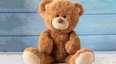 what-is-the-history-behind-the-teddy-bear_