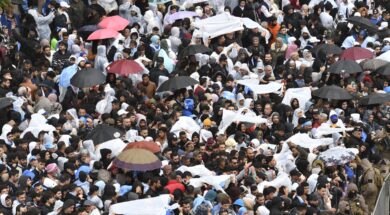 8384cc8a-5b77-4c3a-9e84-ba2233a998ff_169584_89a4f835af29754ba21cc0fceda3e812