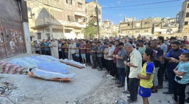 Screenshot_20240811_115150_Google