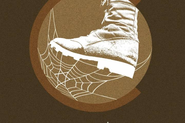 “أوهن من بيت العنكبوت؟!!”