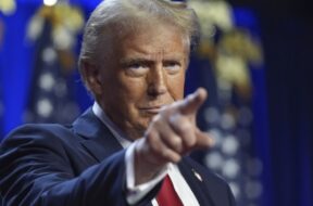 Screenshot_20241107_134337_Google